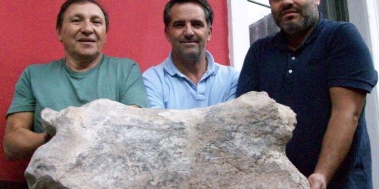 Hallaron restos fósiles de un perezoso gigante de 700.000 años de antigüedad