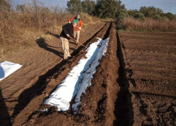 Llega Pasa, un plan de Asistencia Social Alimentaria de la FCA-UNC