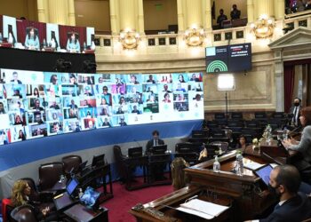 El Senado aprobó la ley de alquileres y de educación a distancia