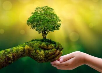 Día Mundial del Medio Ambiente
