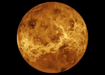 Detectan posibles indicios de vida en el planeta Venus