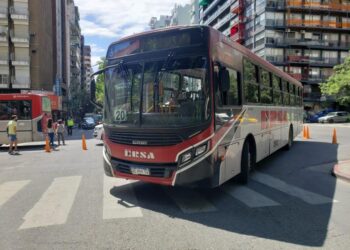 Paro de colectivos: qué se sabe sobre la decisión de la UTA