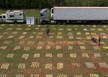 Secuestran casi nueve toneladas de marihuana de un camión en Misiones