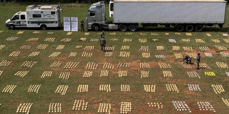Secuestran casi nueve toneladas de marihuana de un camión en Misiones
