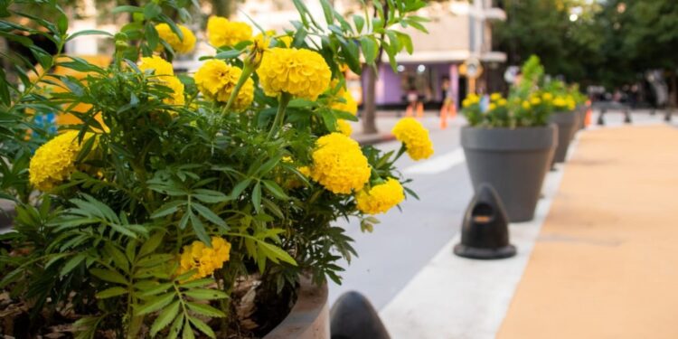 Cómo funcionarán los servicios este fin de semana XL en Córdoba