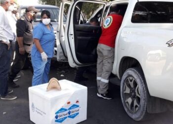 Exigen que renuncie el ministro de Salud correntino tras chocar cuando trasladaba vacunas