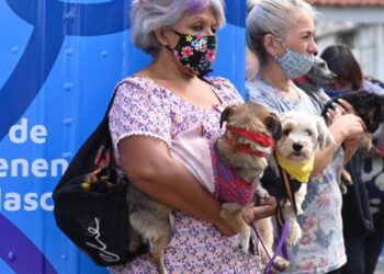 Habilitan un turnero online para castraciones de perros y gatos