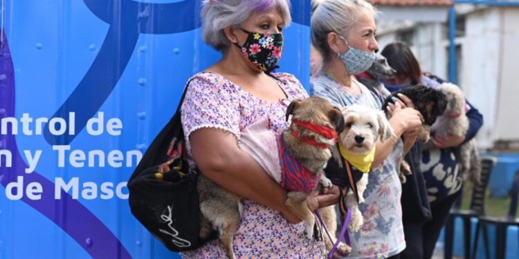 Habilitan un turnero online para castraciones de perros y gatos