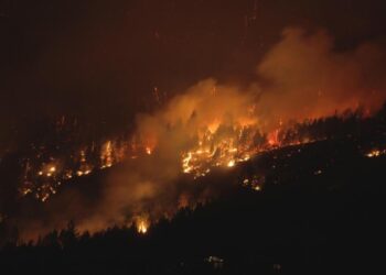 Incendios devastadores afectan a Río Negro y Chubut