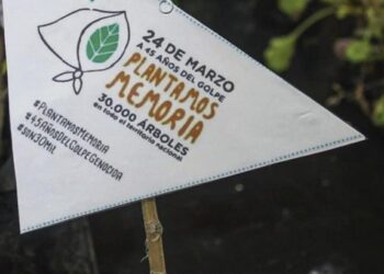A 45 años del golpe, organismos de DDHH realizan actos virtuales y convocan a plantar árboles