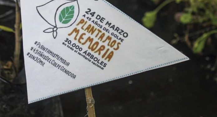 A 45 años del golpe, organismos de DDHH realizan actos virtuales y convocan a plantar árboles