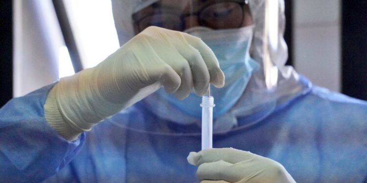 Cómo llegó la variante de Manaos a Córdoba