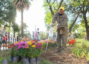 Colocan 5.000 plantas y plantines en plaza San Martín
