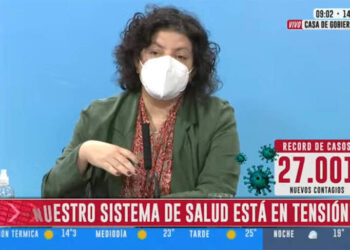 Vizzotti alertó que el país se encuentra en "un momento crítico"