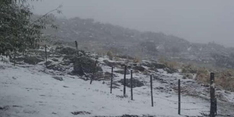 Llegó la nieve al Cerro Champaquí