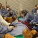 Treinta médicos veterinarios realizaron un chequeo integral al león Tango