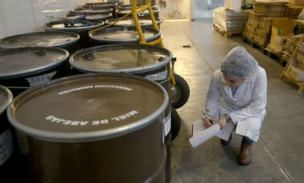 El precio de la miel impulsa inversiones en toda la cadena apícola