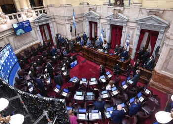 El Senado debate hoy el proyecto de medidas para contener la pandemia