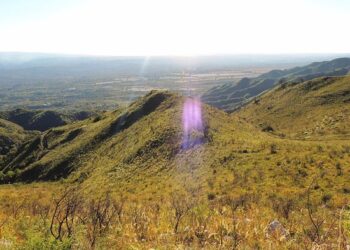 Buscan a un hombre que desapareció en la zona del Pan de Azúcar