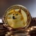 La imagen de "Doge", el famoso perrito del meme fue subastada a un precio millonario