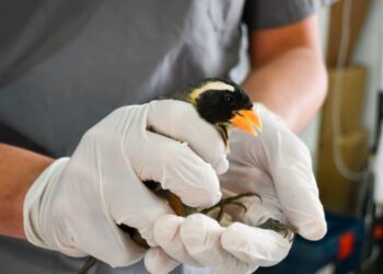 La provincia oficializó al Parque de la Biodiversidad como centro de rescate