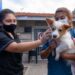 Plan de Castración de Mascotas: Ya se sumaron 50 veterinarias