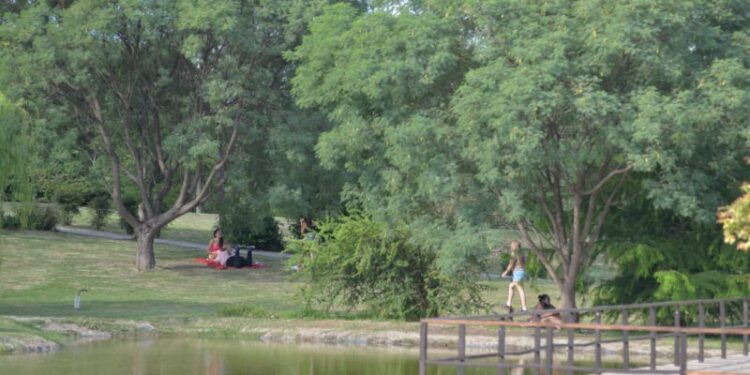 Disfrutá el sol de invierno en el Jardín Botánico