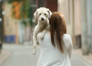 Día Mundial del Perro