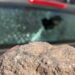 Atacaron a pedradas a una de las camionetas de la Patrulla Ambiental