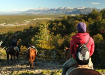 Más de un millón de viajeros se movilizaron por el país durante el fin de semana largo