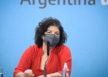 Vizzotti habló sobre la compra de los penes de madera y agradeció la difusión