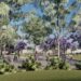 Crearán un nuevo paseo en Villa El Libertador