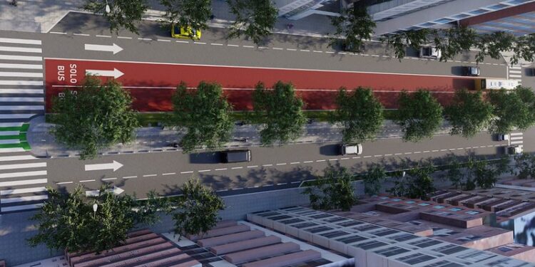 Empezaron las obras del cantero central de avenida Chacabuco