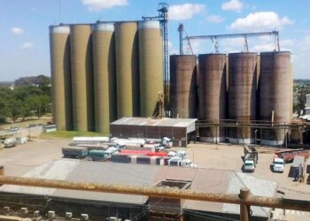 Molino Cañuelas se presentó en concurso preventivo de acreedores