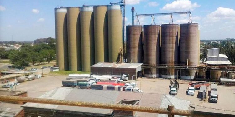 Molino Cañuelas se presentó en concurso preventivo de acreedores