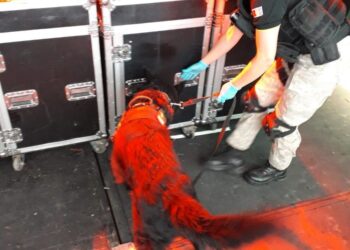 Controles antidrogas en la "fiesta indiana" en Calamuchita