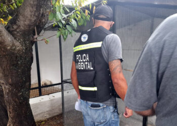 Rescatan 24 aves de una vivienda en La Calera