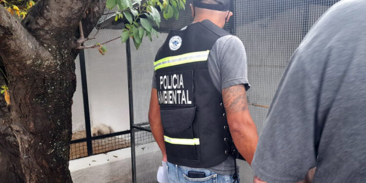 Rescatan 24 aves de una vivienda en La Calera