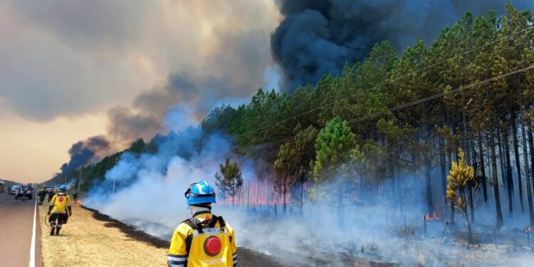 Bomberos cordobeses continúan la lucha contra el fuego en Corrientes