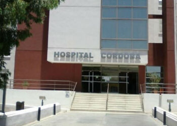 Día Mundial del Riñón: consultas gratuitas y charlas informativas