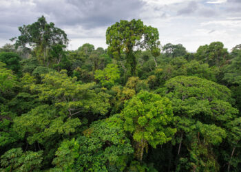 Córdoba recibirá casi US$ 2 millones del Fondo Verde del Clima