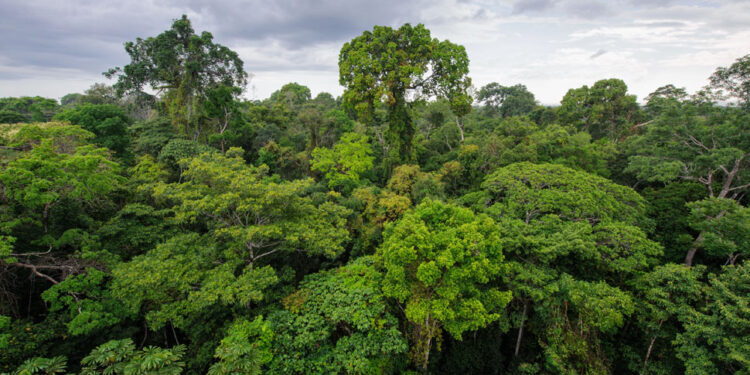 Córdoba recibirá casi US$ 2 millones del Fondo Verde del Clima