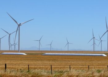 La ONU afirmó que los precios de los alimentos llegaron a un nuevo récord