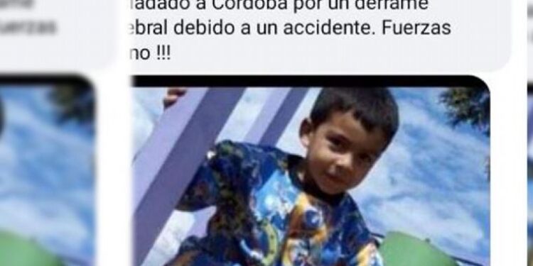 Un niño de 4 años, cayó de una hamaca y lucha por su vida