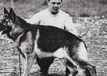 2 de junio: Día Nacional del Perro