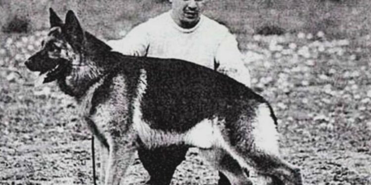 2 de junio: Día Nacional del Perro