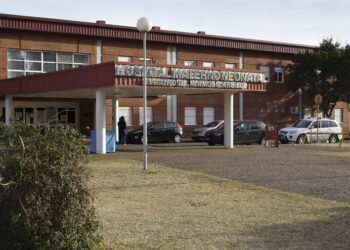 Causa Neonatal: declaró el ingeniero que denunció la muerte de bebés