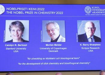 Tres científicos comparten el Premio Nobel de Química