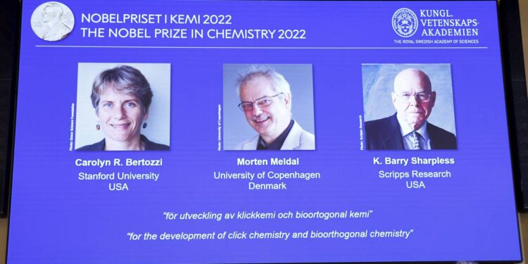 Tres científicos comparten el Premio Nobel de Química