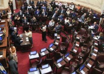 El Senado nacional aprobó el Presupuesto 2023